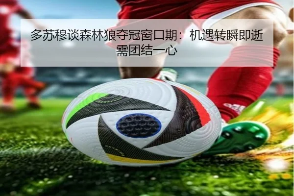 多苏穆谈森林狼夺冠窗口期:机遇转瞬即逝 需团结一心